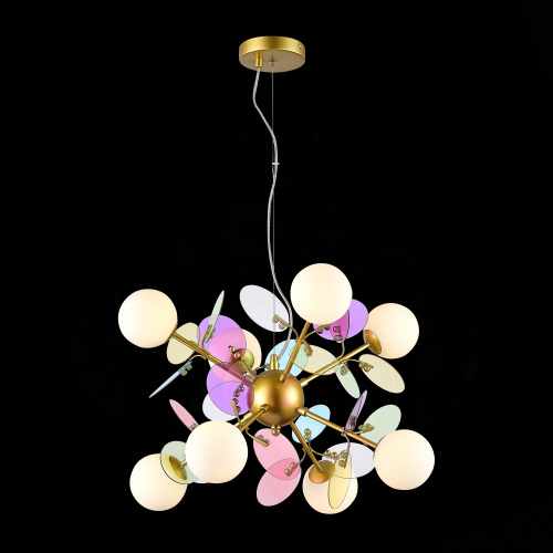 SLE2502-203-08_01B SLE2502-203-08_01B