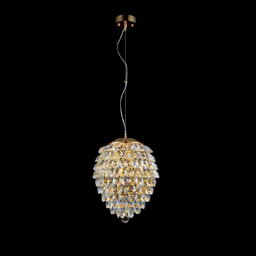 CHARME_SP4_GOLD-TRANSPARENT CHARME_SP4_GOLD-TRANSPARENT