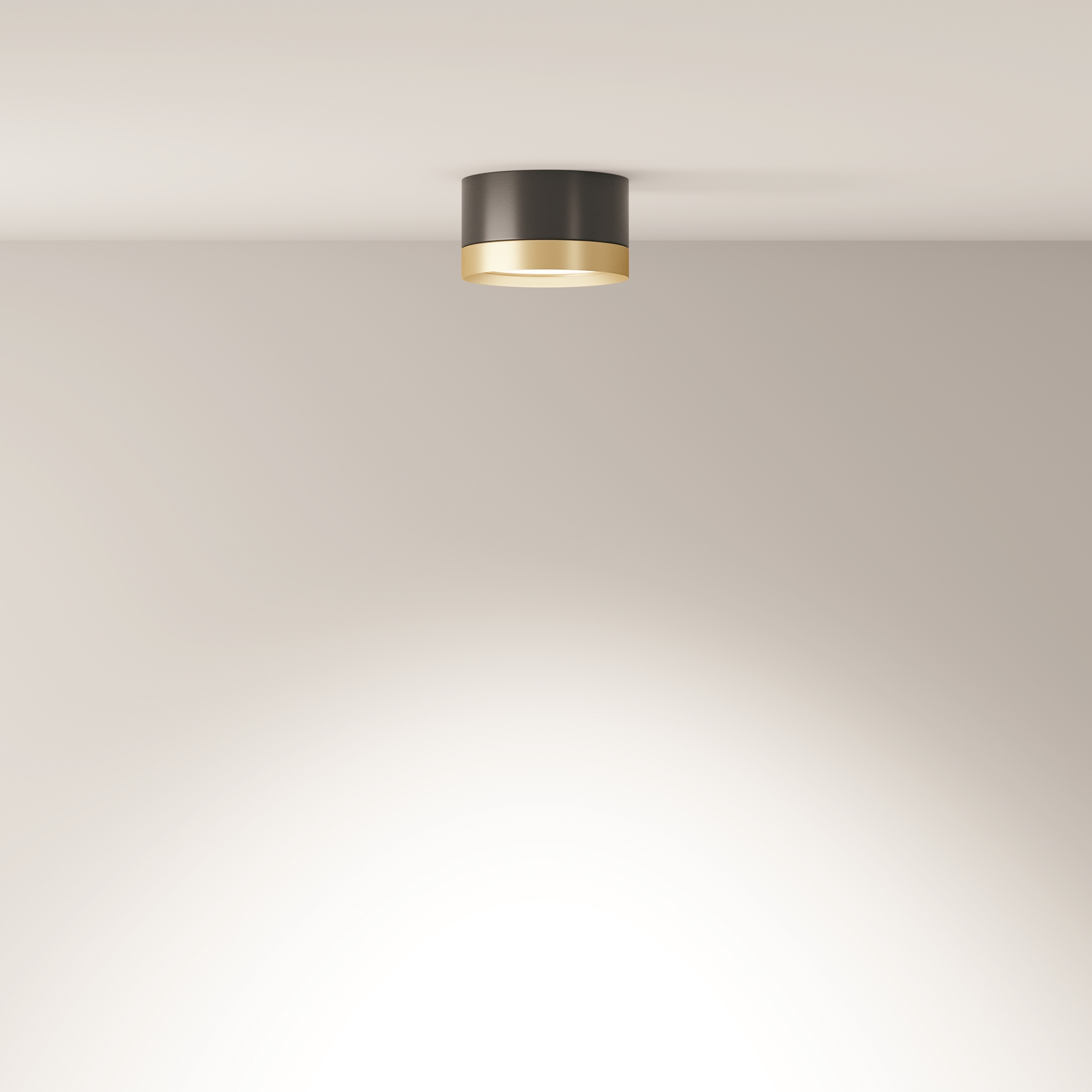 RENDER_Additional_perspective_CMYK_C086CL-GX53-SRD-BG_standard