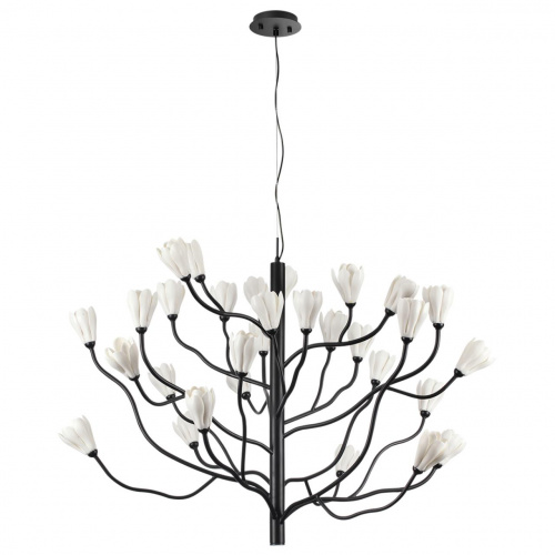 b4a9ef6999f131e341632f0cfe71284b