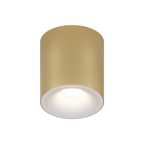 RENDER_C094-GU10-MG_on_w_standard