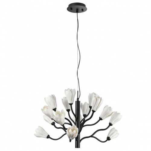 2c30dc0269fbe750685dc4c3d58014d6