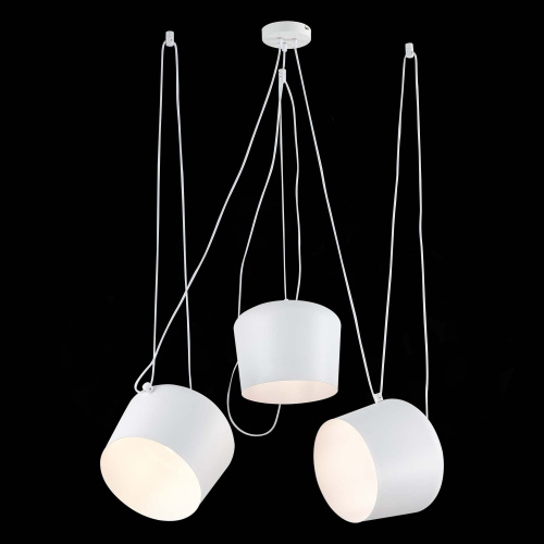 SLE120653-03_01B SLE120653-03_01B