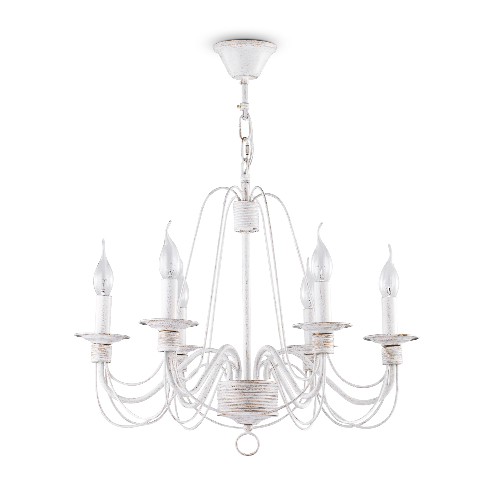 PHOTO_FR2046-PL-06-WG_on_w_standard_(1)