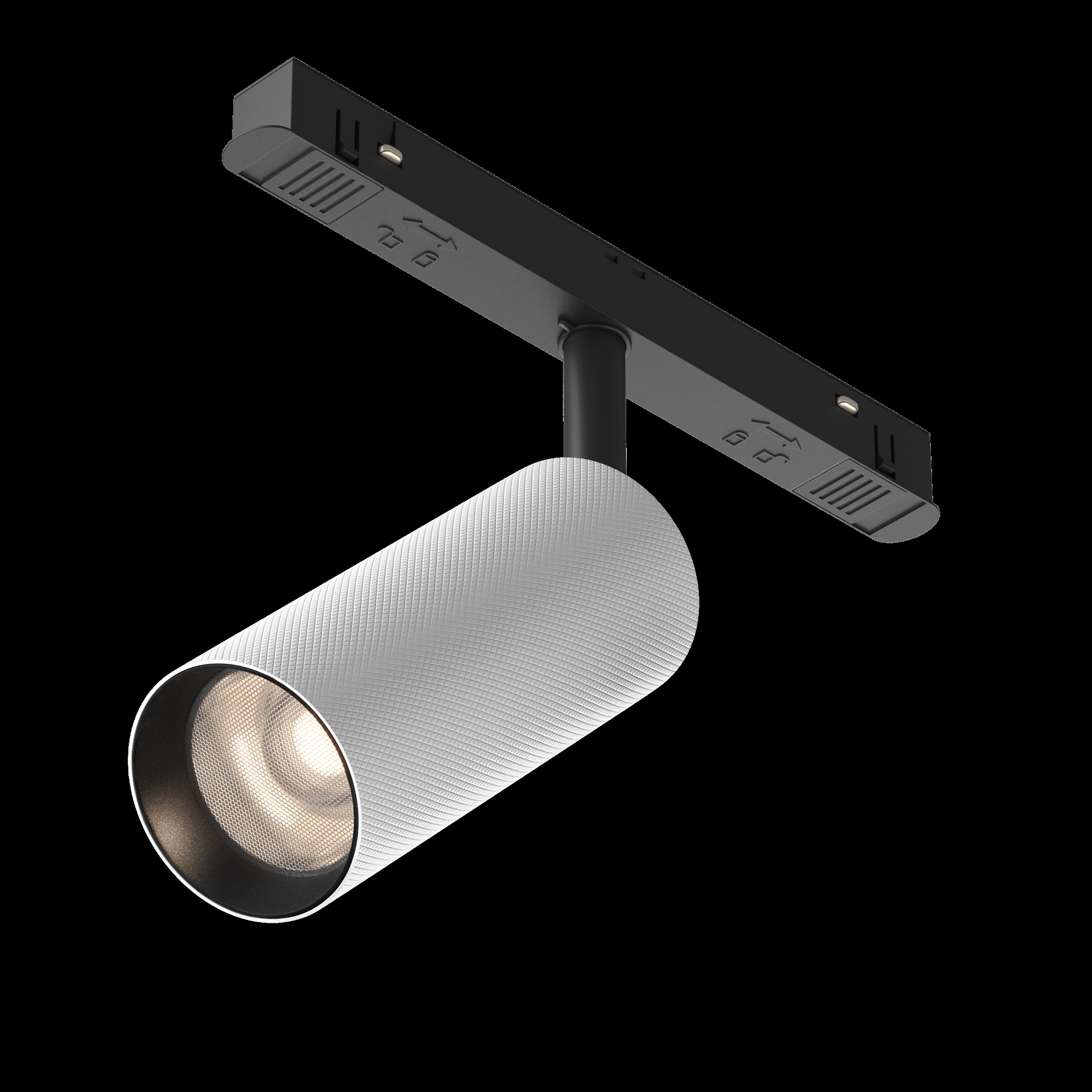 RENDER_Photo_w_alpha_TR097-2-12W4K-M-BW_standard