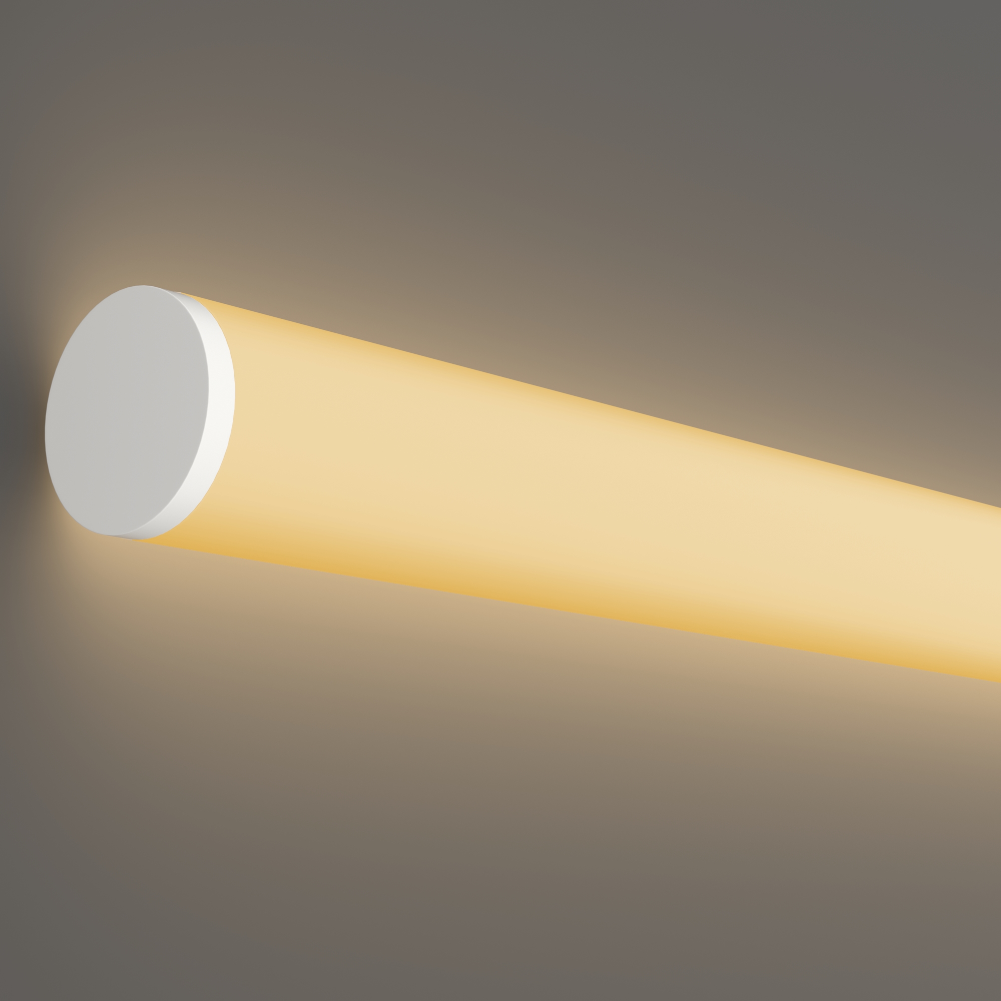 RENDER_element_20306_w_standard