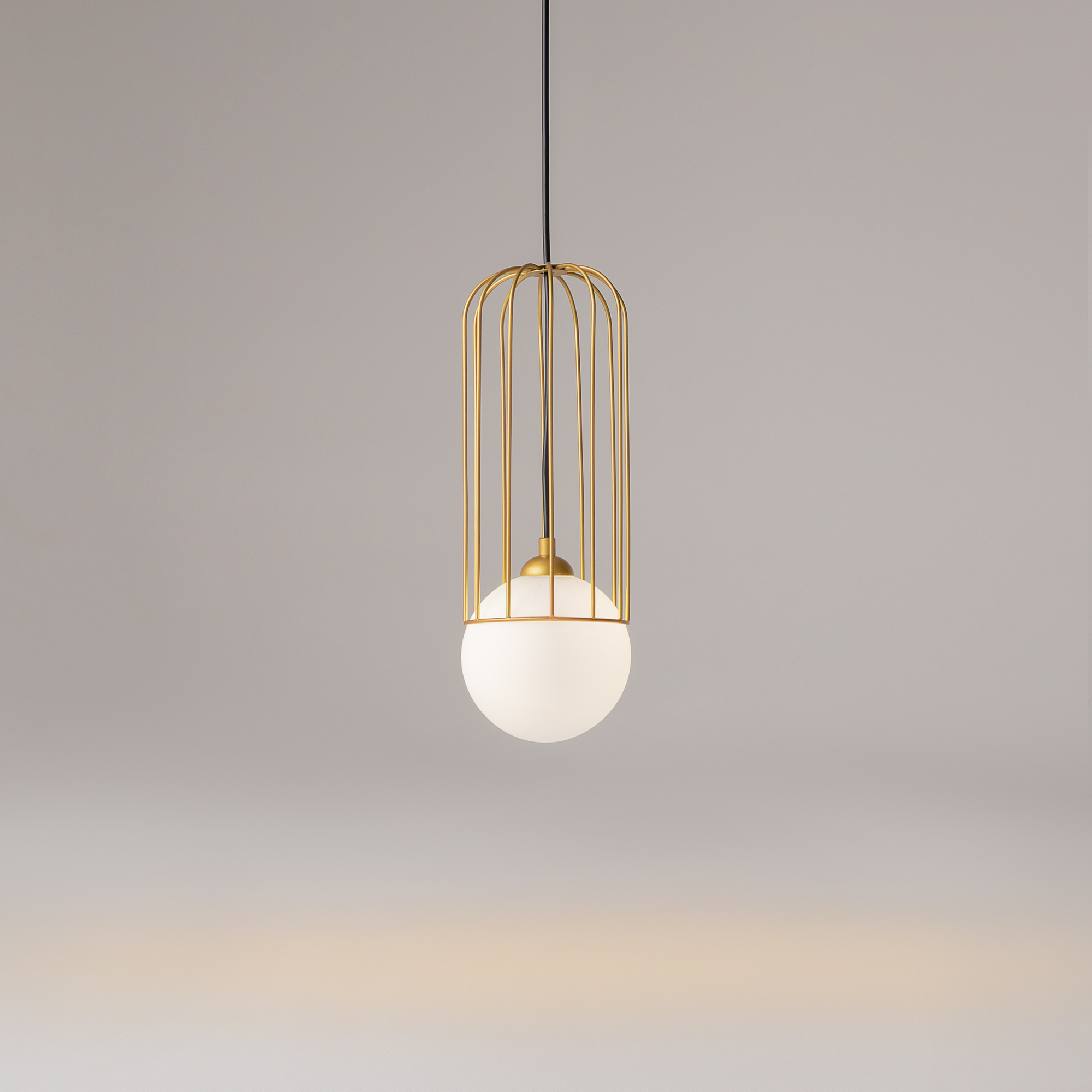 PHOTO_element2_P361PL-01G_w_standard