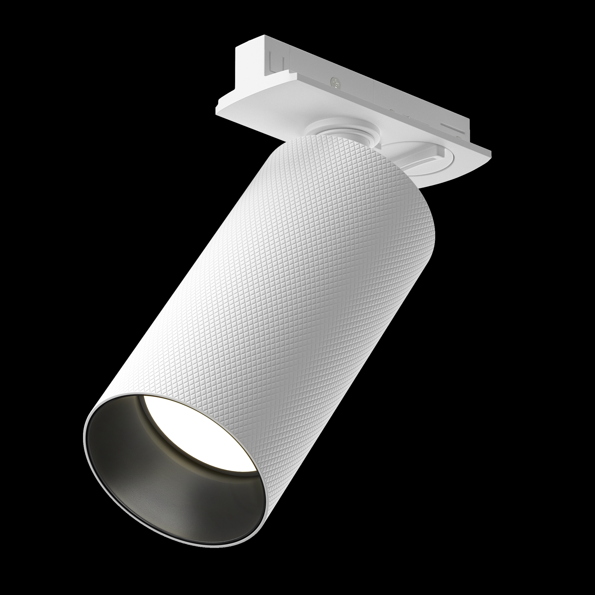 RENDER_Photo_w_alpha_TR089-1-GU10-WW_standard