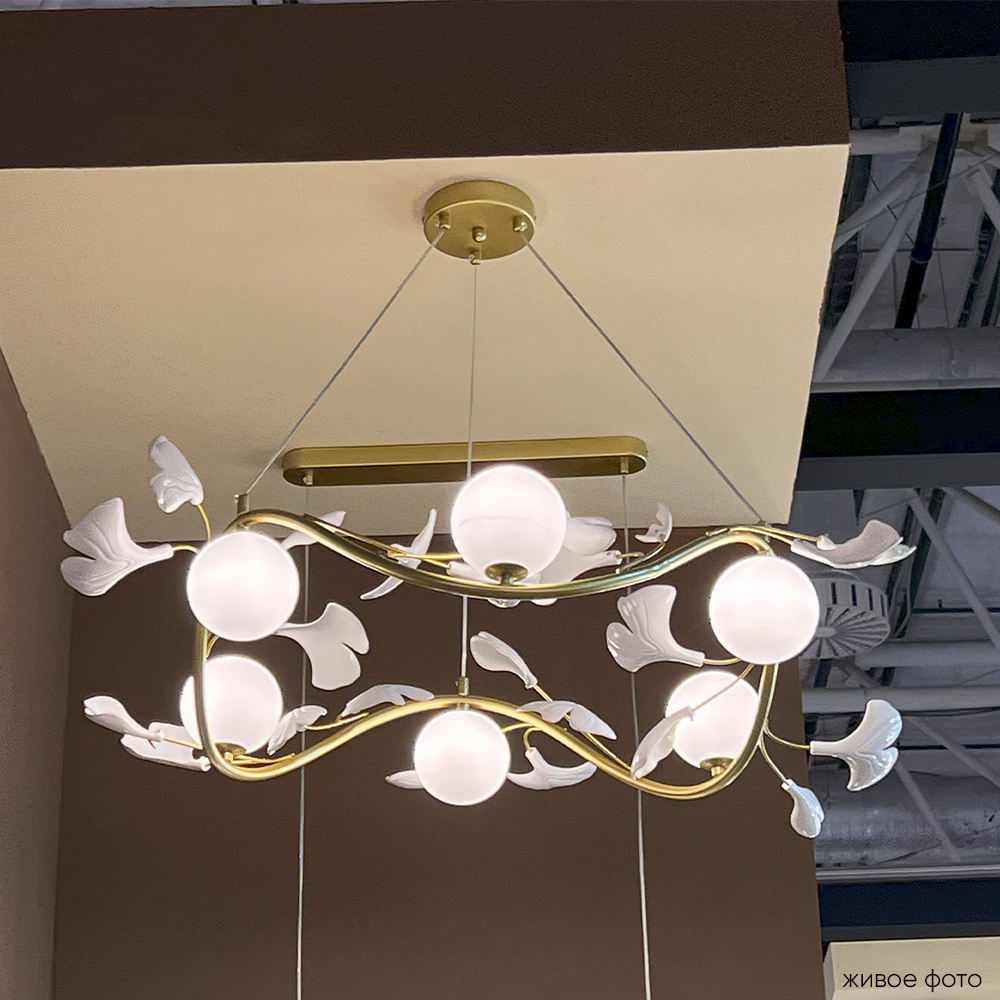 COLIBRI_SP6_GOLD_livephoto