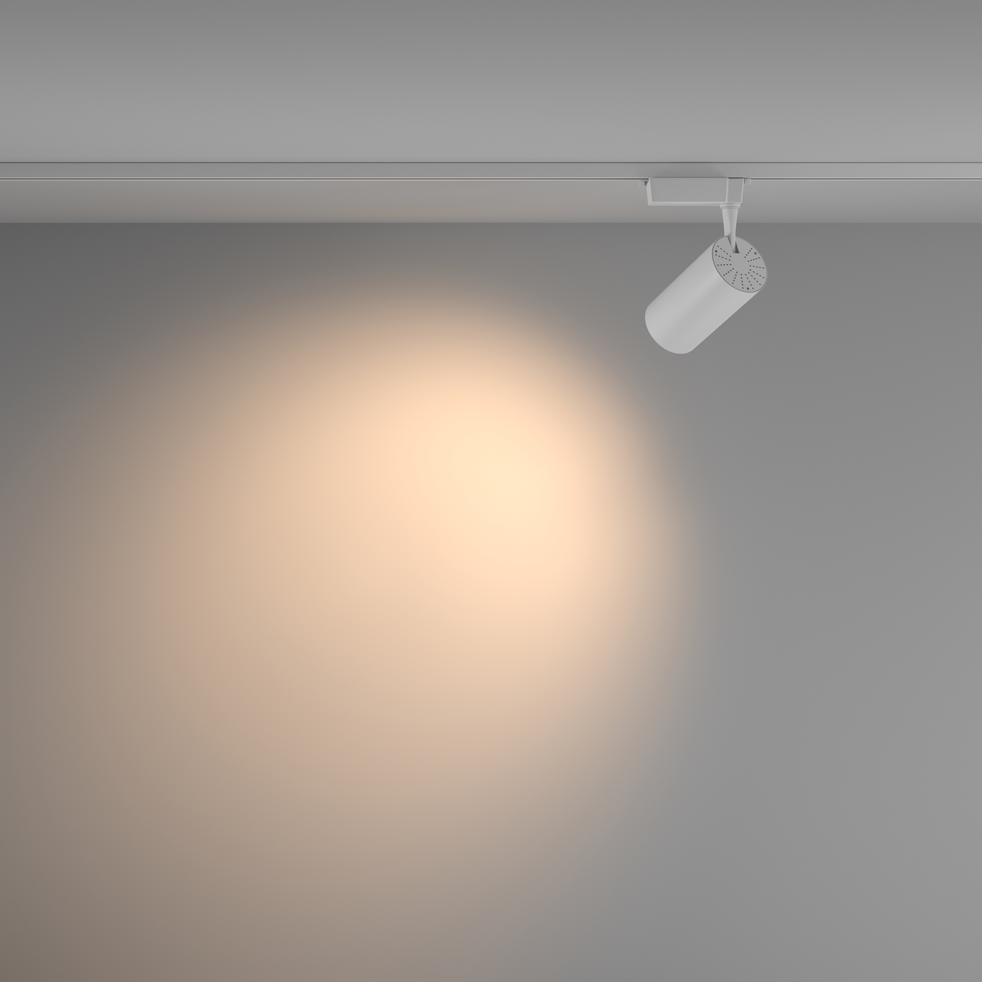 RENDER_Additional_perspective_TR003-1-36W3K-W-W_standard