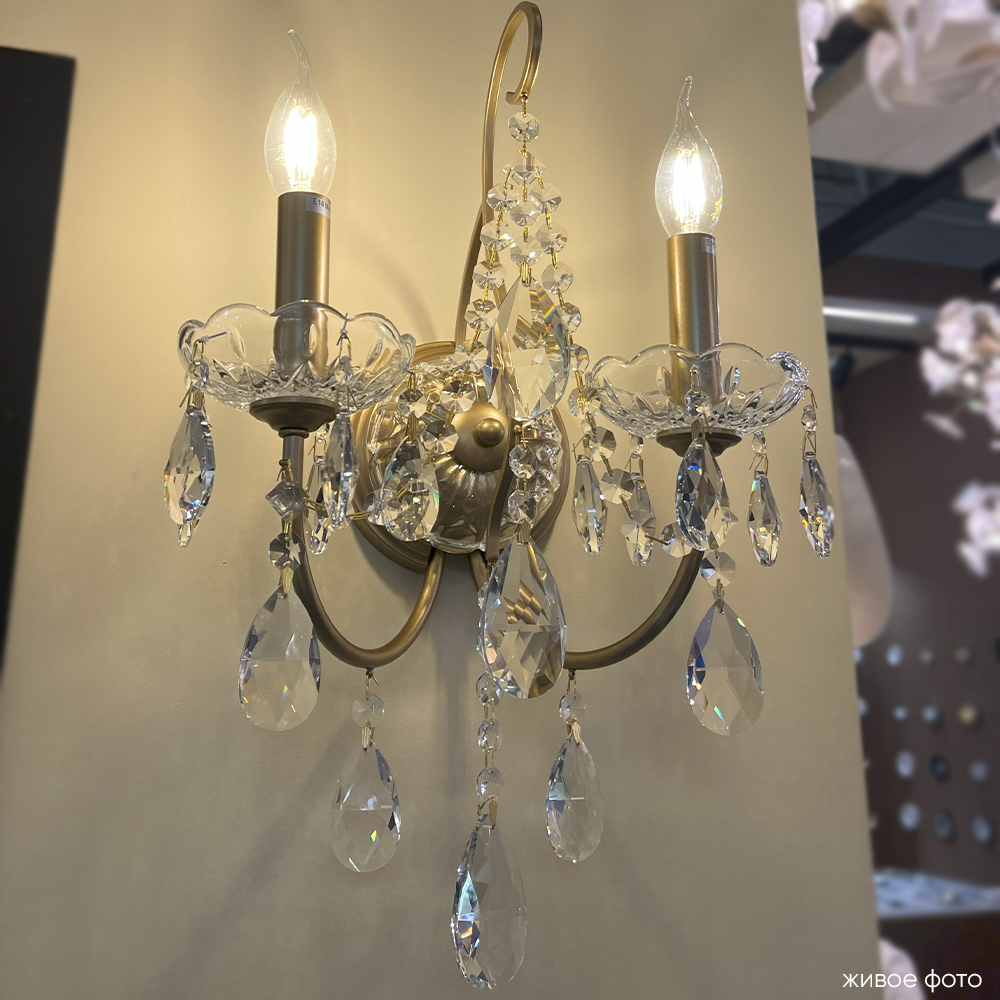 MONTANA_AP2_livephoto