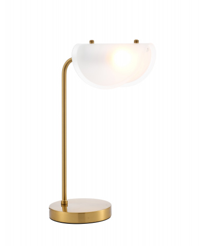 FR5228TL-01C_on_w_standard