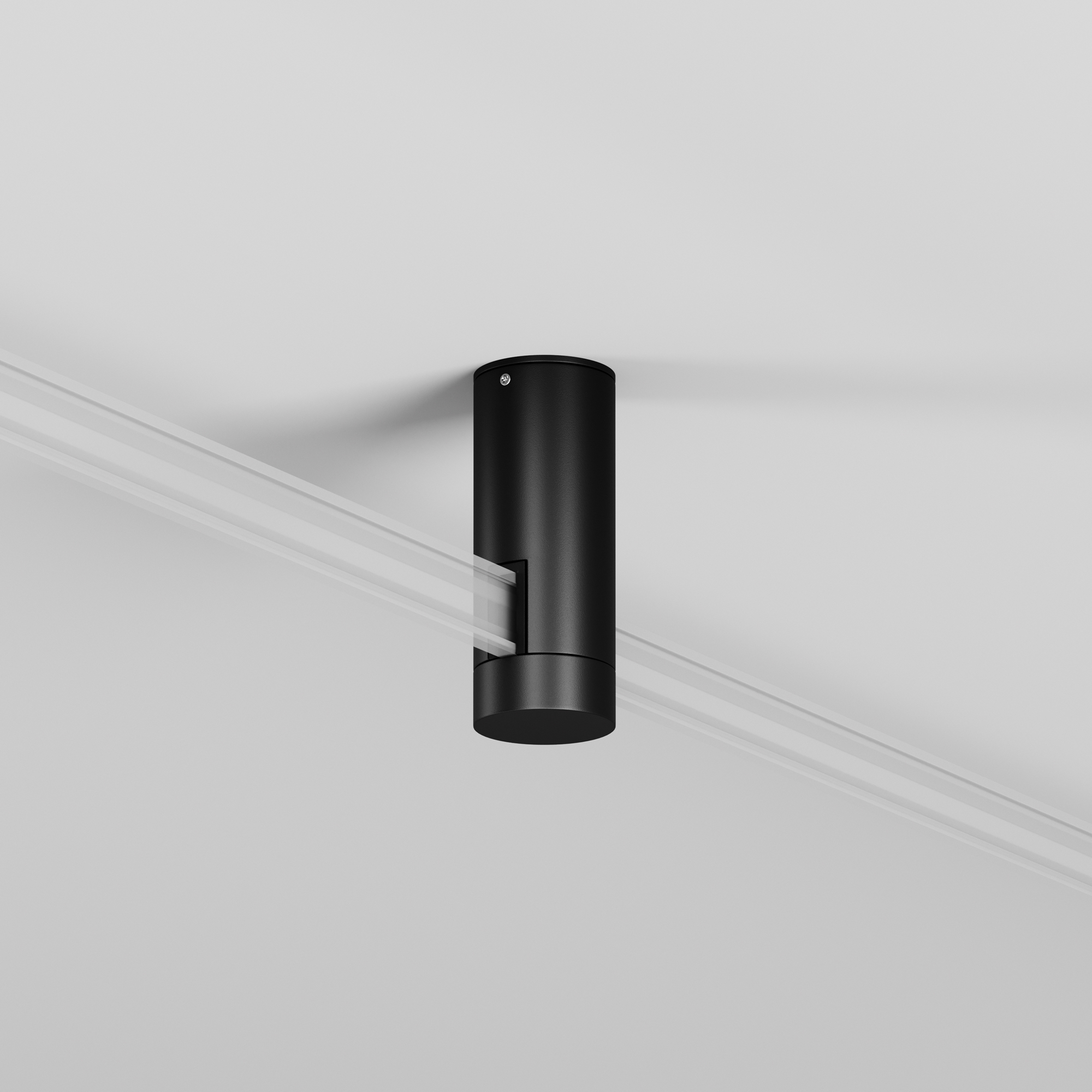 Image_photo_TRA200C-11B_standard