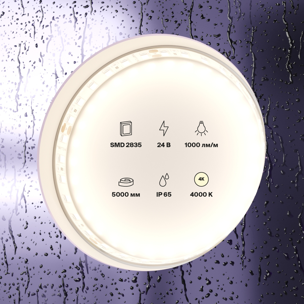 element_10146_w_standard_(2)