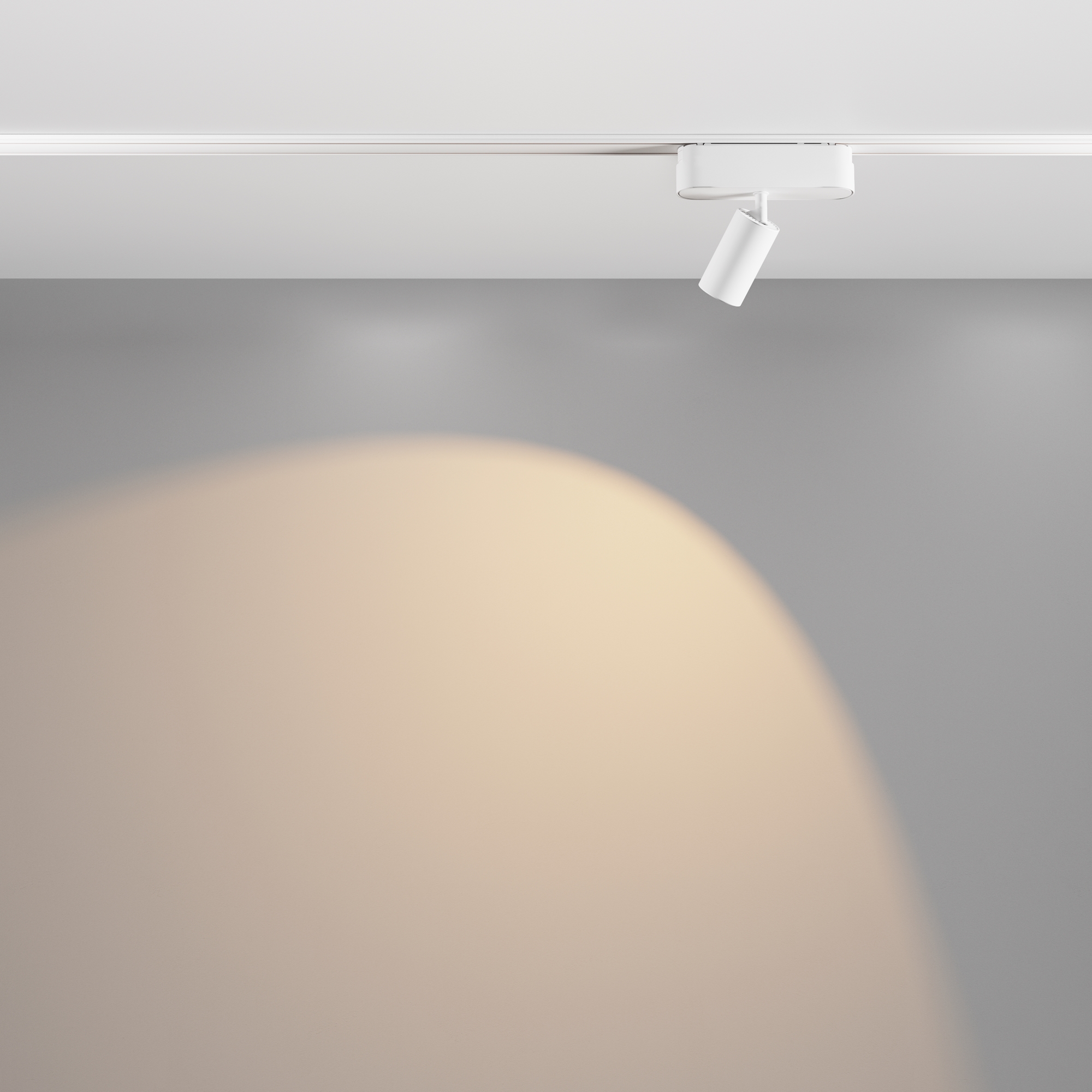 RENDER_Additional_perspective_TR103-1-5W3K-M-W_standard