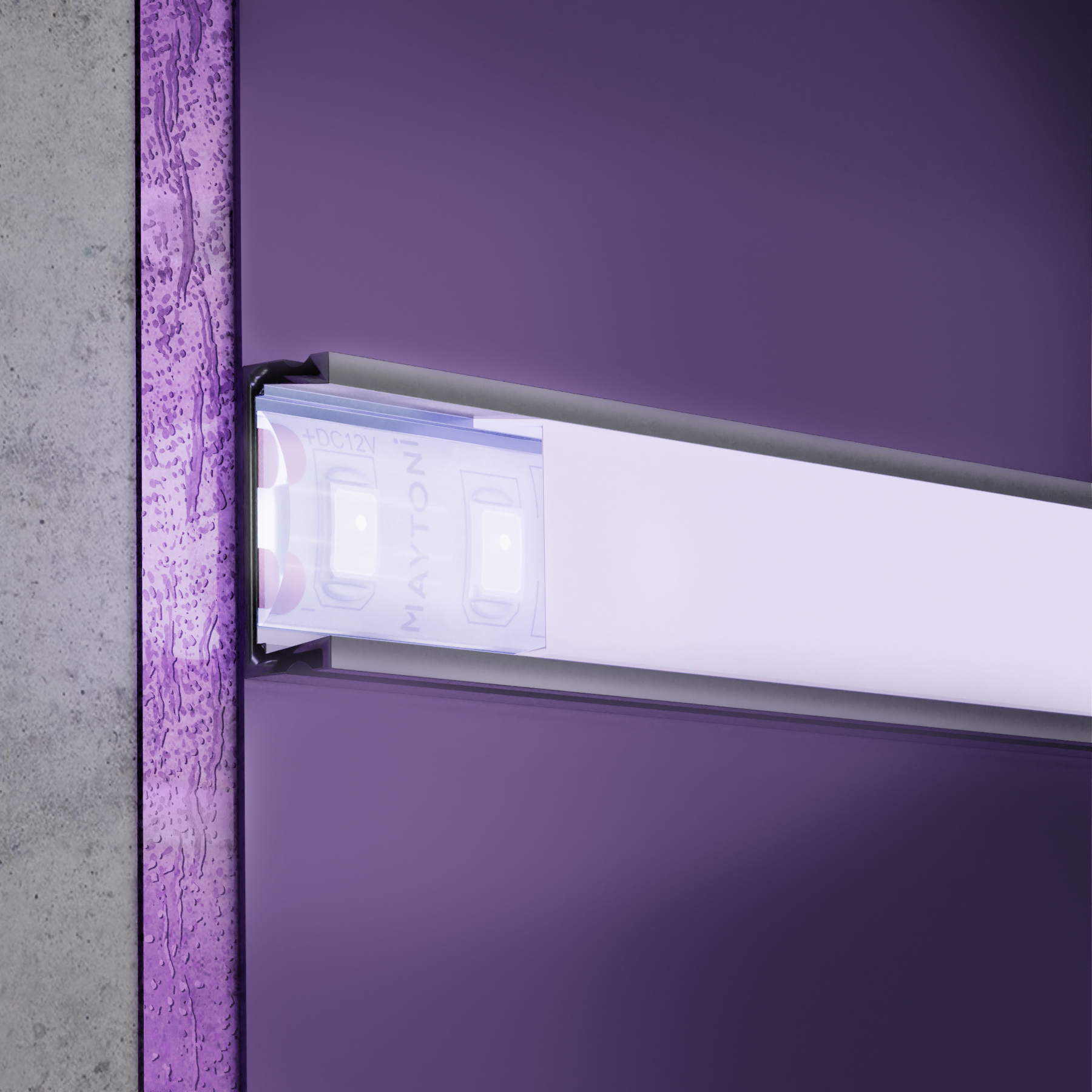 element_10113_w_standard_(1)