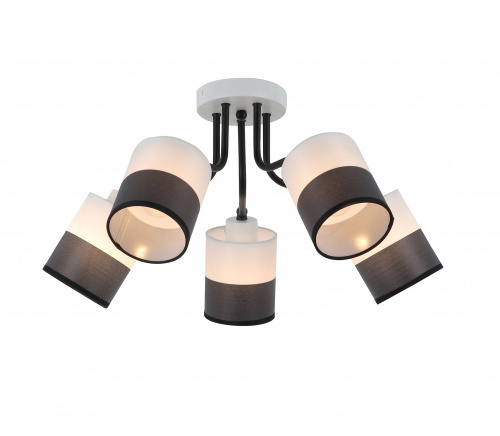 PHOTO_FR5137PL-05WB_on_w_standard