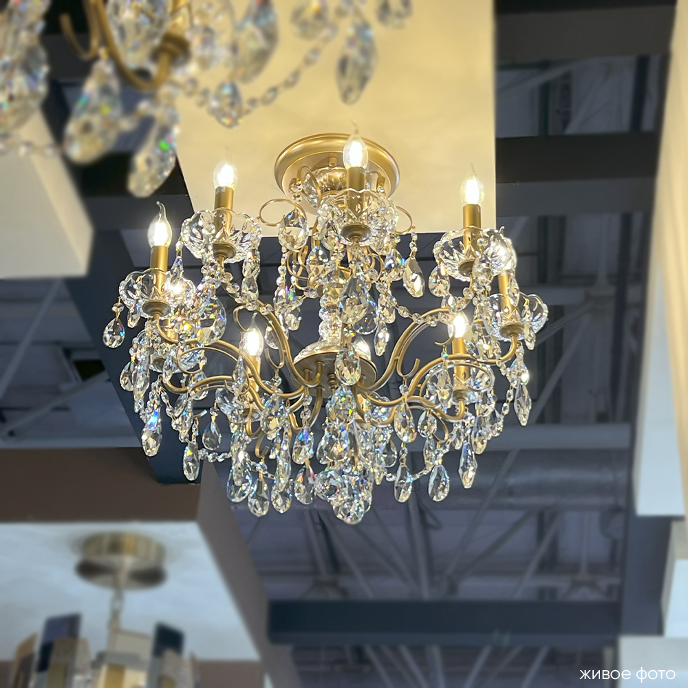 MONTANA_PL9_livephoto