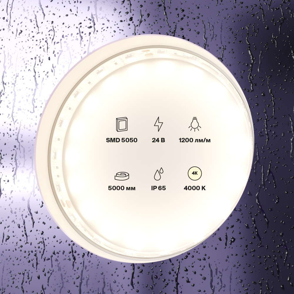 element_10172_w_standard_(2)