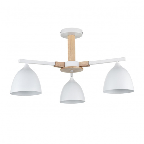 8179314eb2beb60d2edc39be79be5785