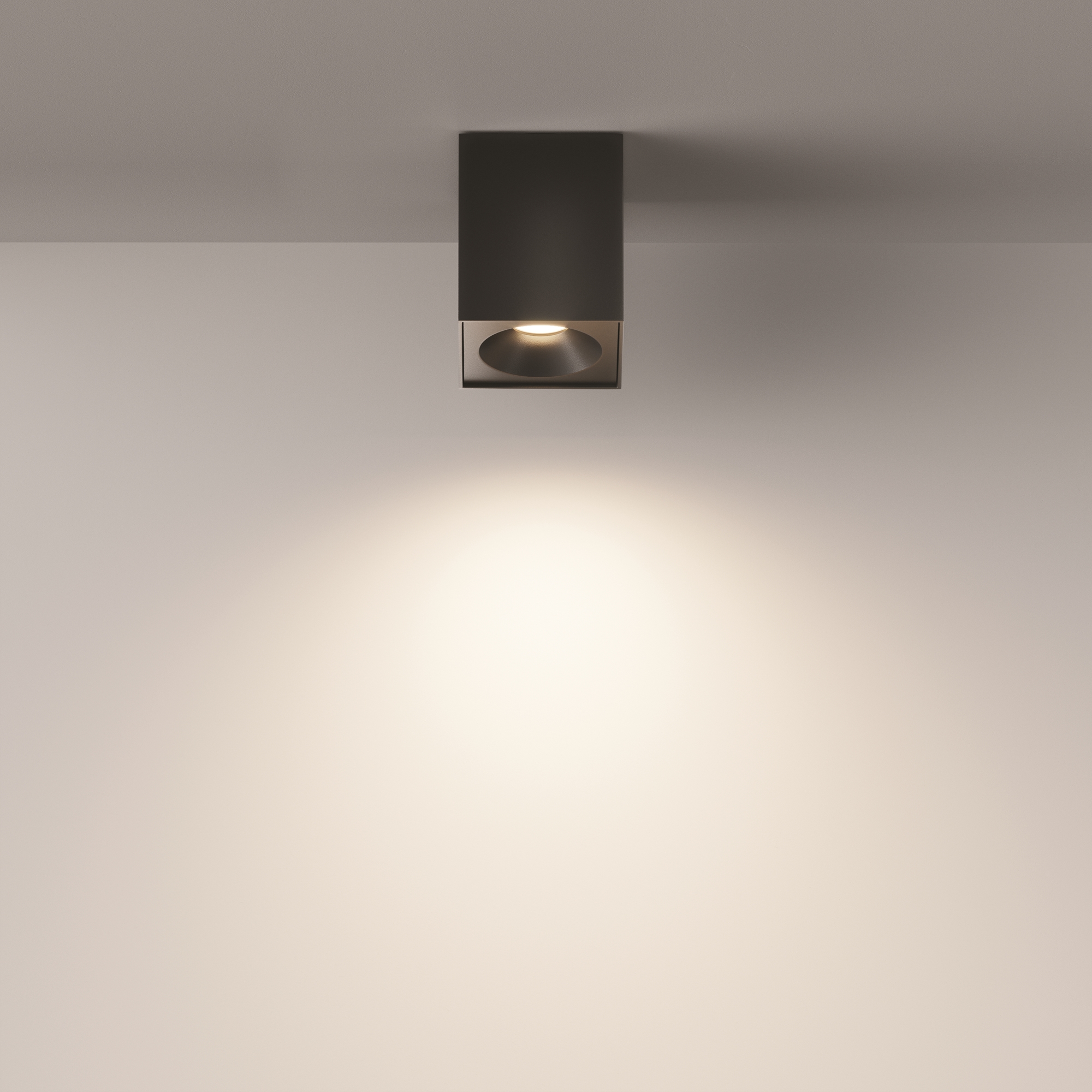 RENDER_Additional_perspective_CMYK_C030CL-01B_standard