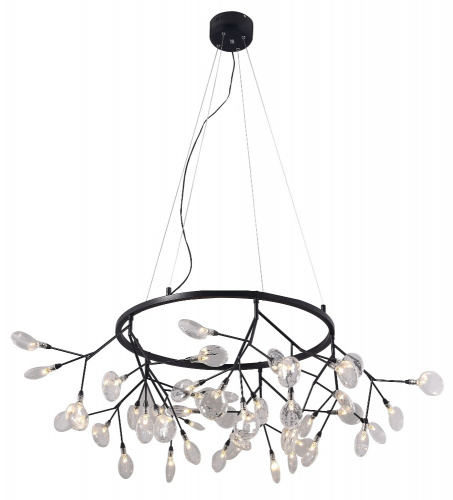 EVITA_SP45_D_BLACK-TRANSPARENT