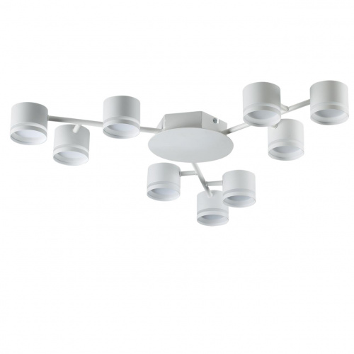 c8942e1981d8a68264e140eea0e1a0c6