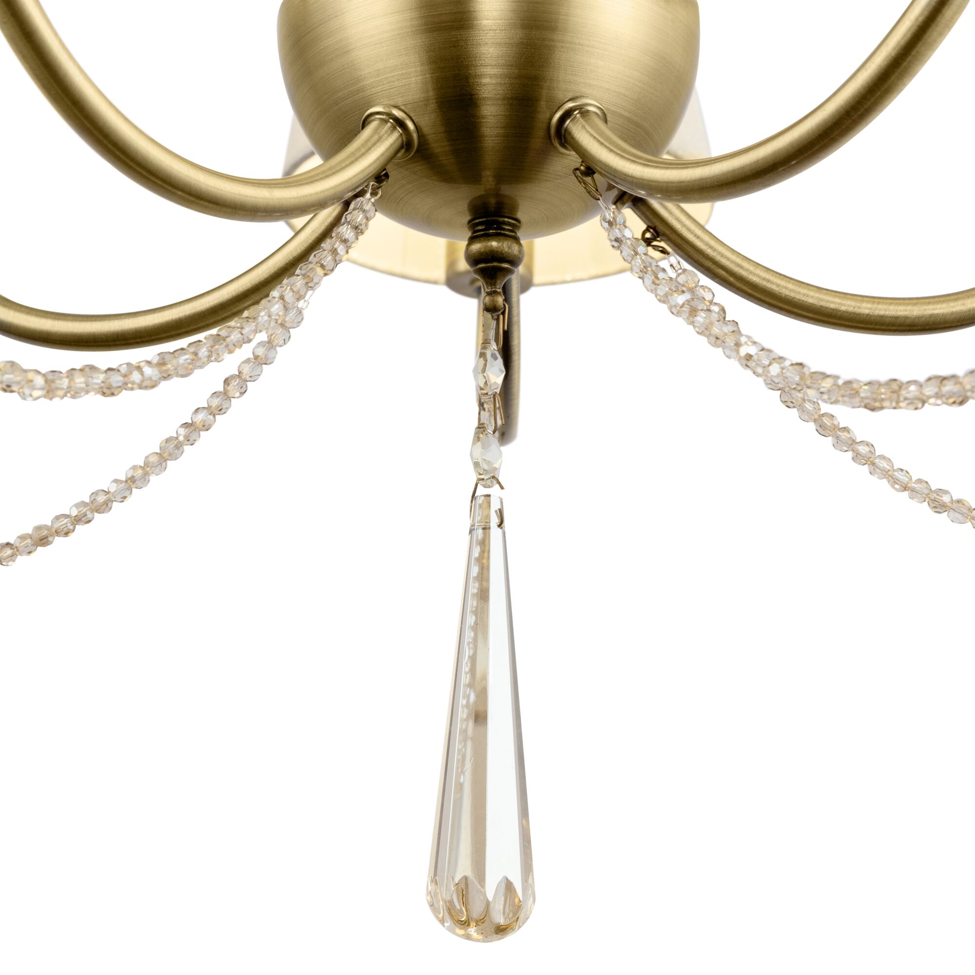 element_FR2019PL-05BS_w_(2)