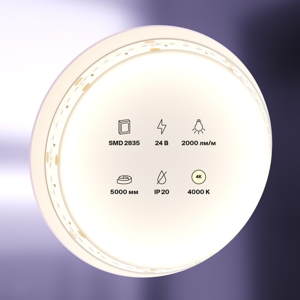 element_10155_w_standard_(2)