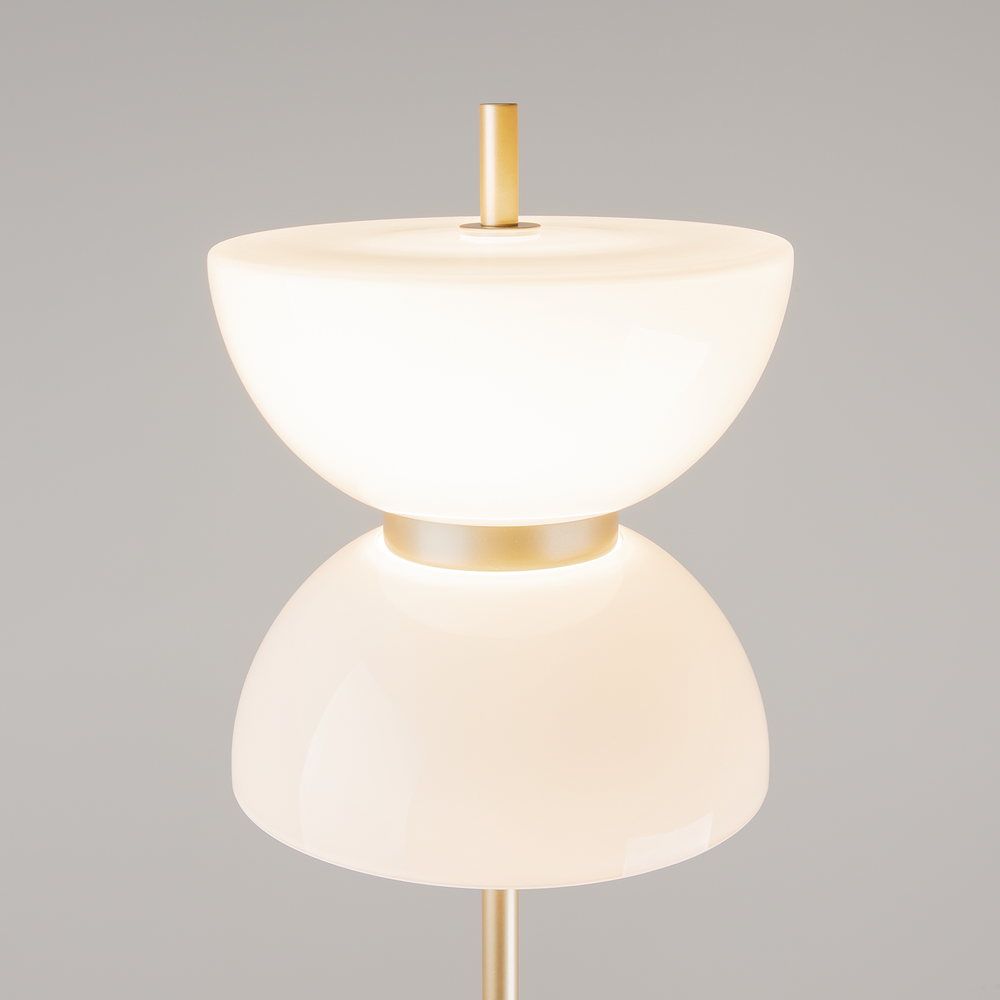 PHOTO_element_MOD178FL-L11G3K_w_standard