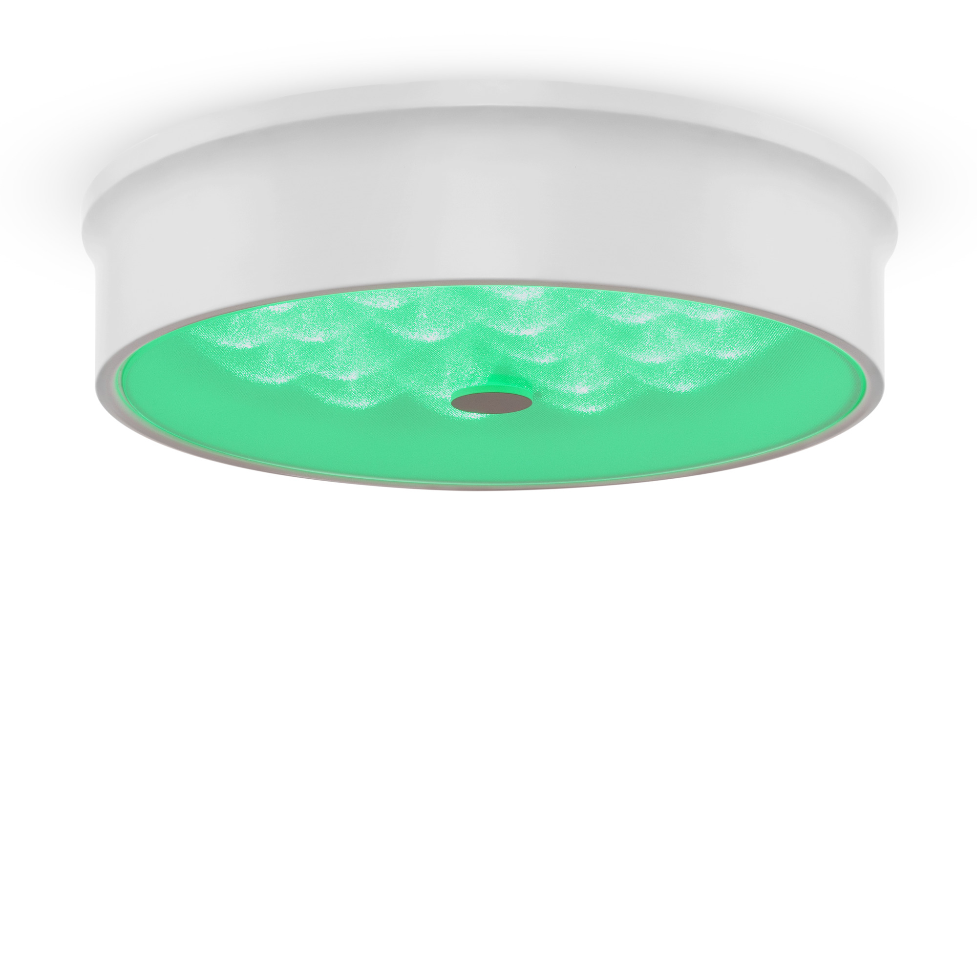 FR10011CL-L24W_on_w_(2)