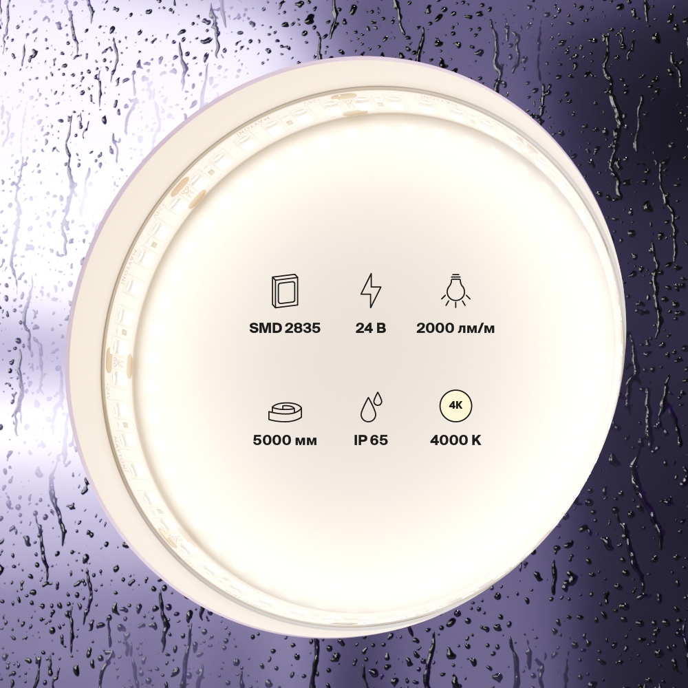 element_10158_w_standard_(2)