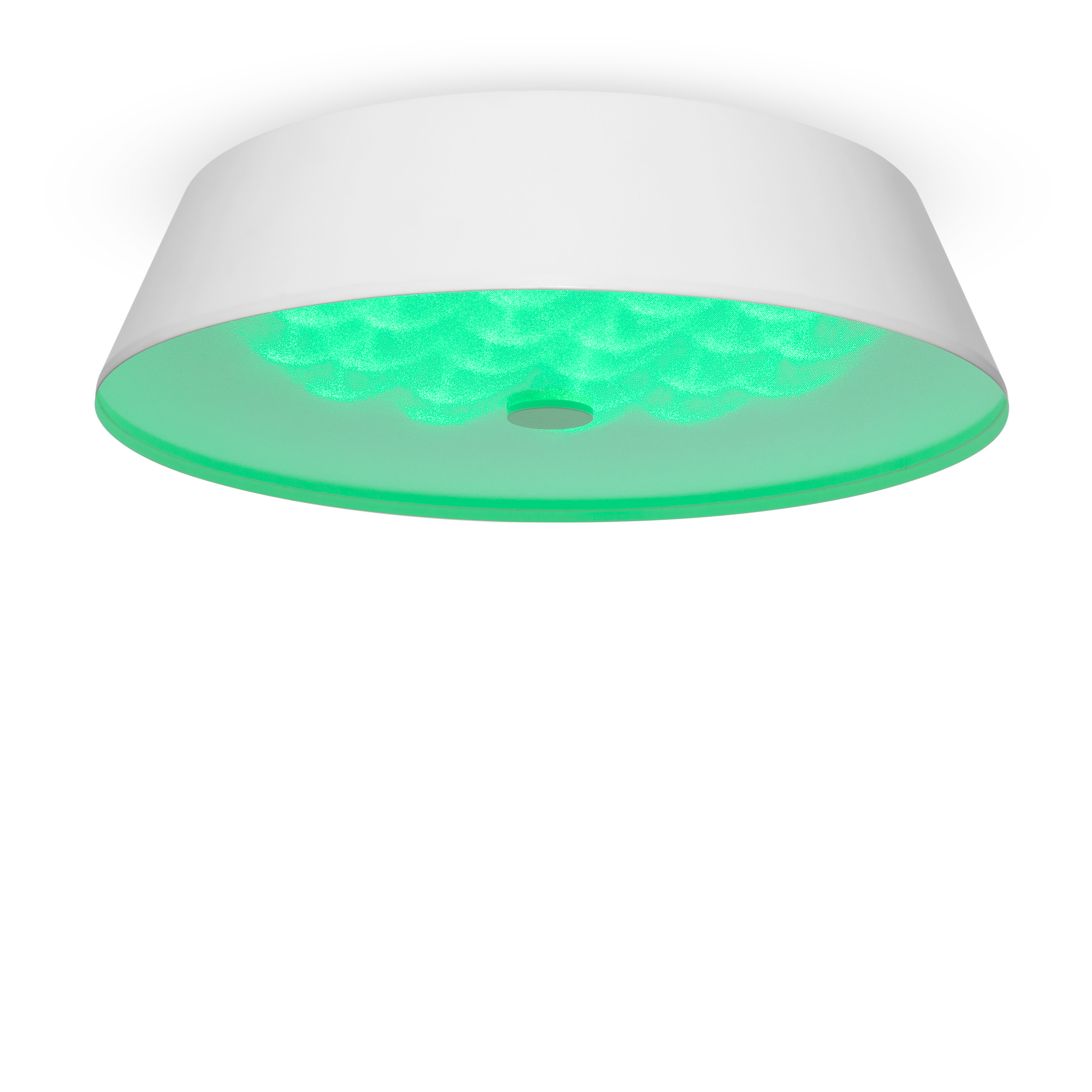 FR10013CL-L24W_on_w_(2)