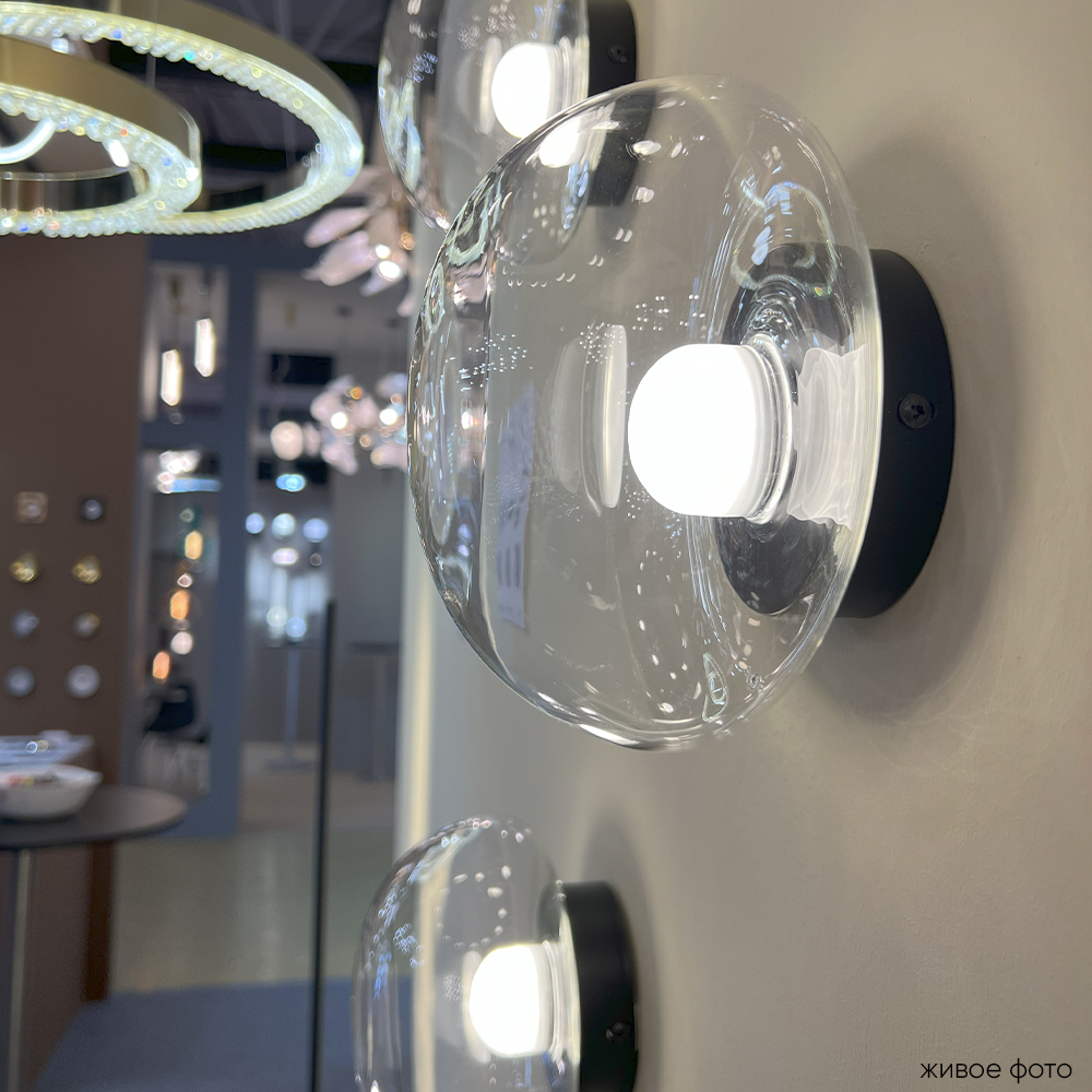 BOSQUE_AP1_BLACK_TRANSPARENT_livephoto