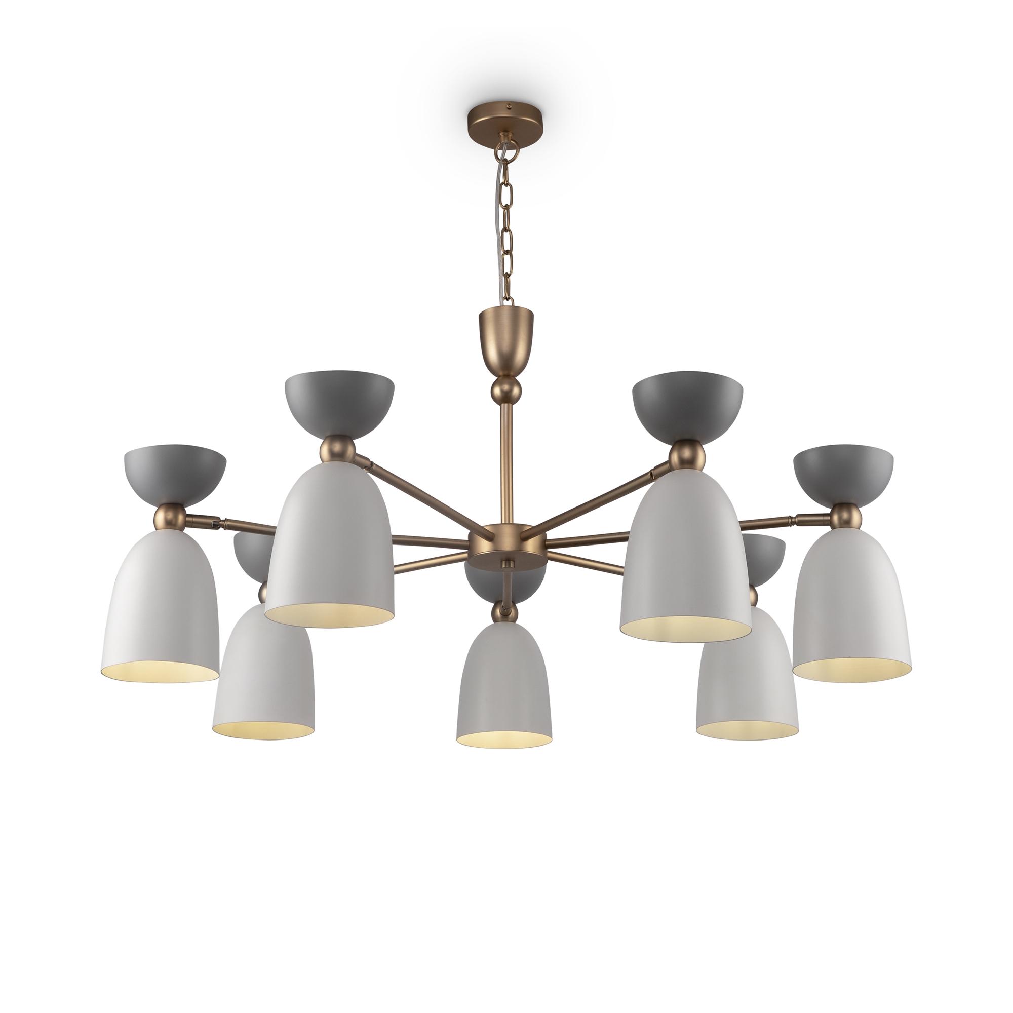 MOD113PL-07W_on_w_standard