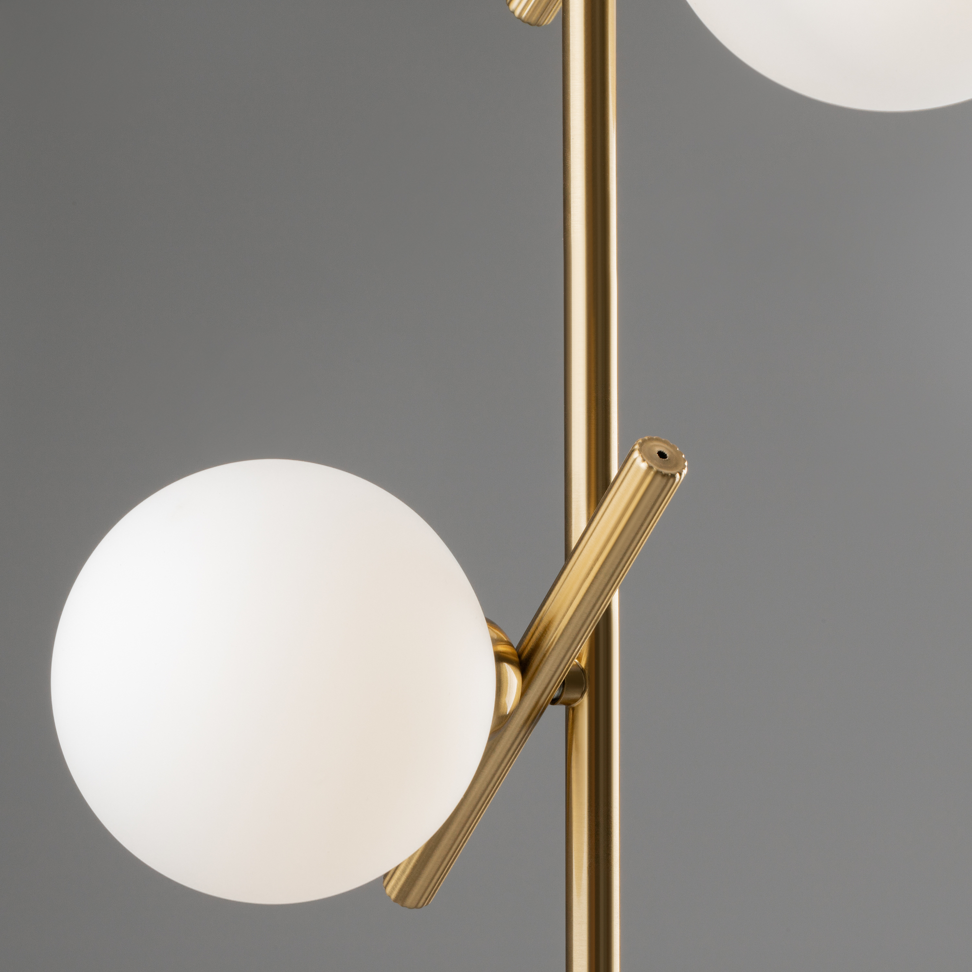 Image_photo №2_FR5259PL-02BS_standard