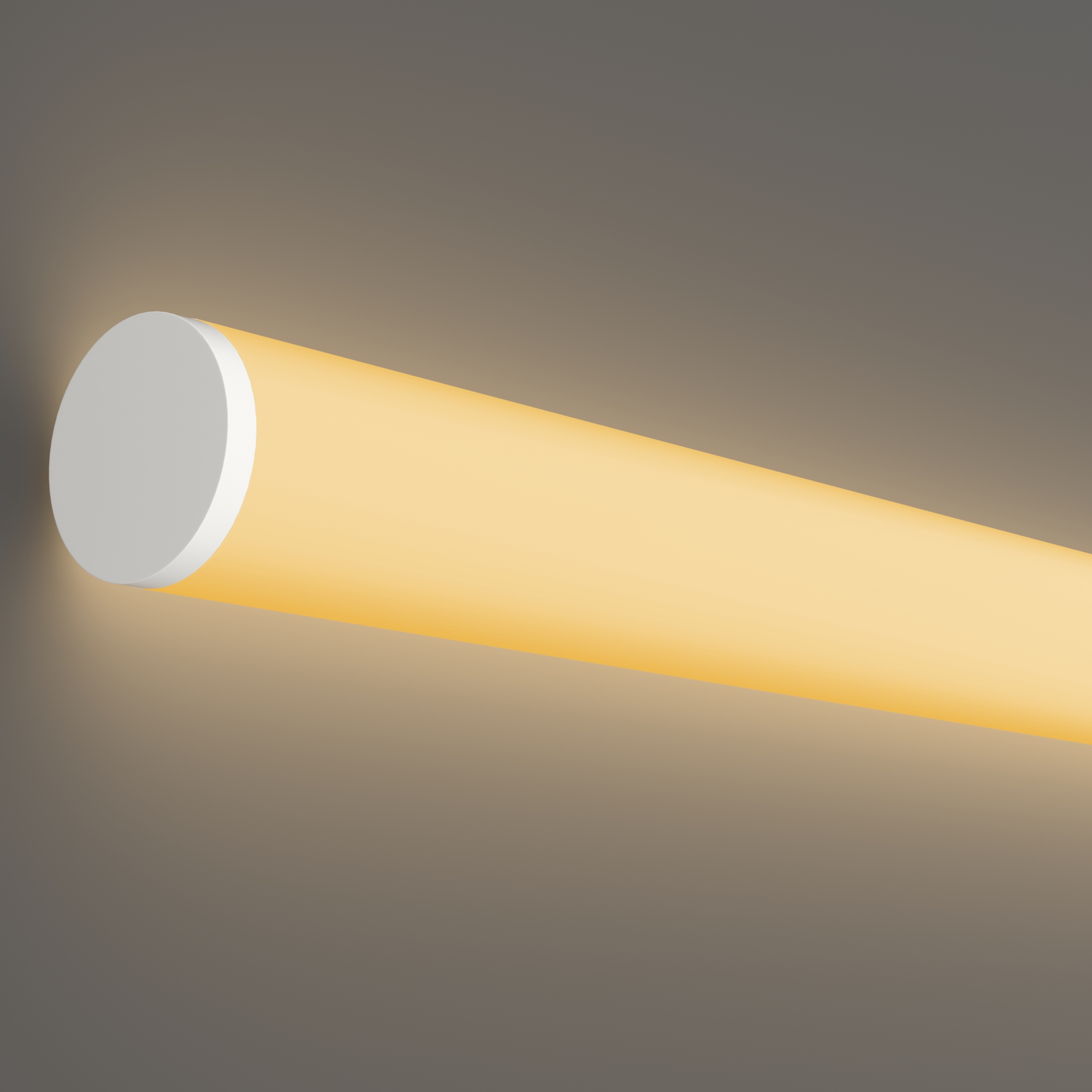 RENDER_element_20300_w_standard