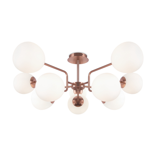 PHOTO_MOD221PL-10G_on_w_standard_(1)