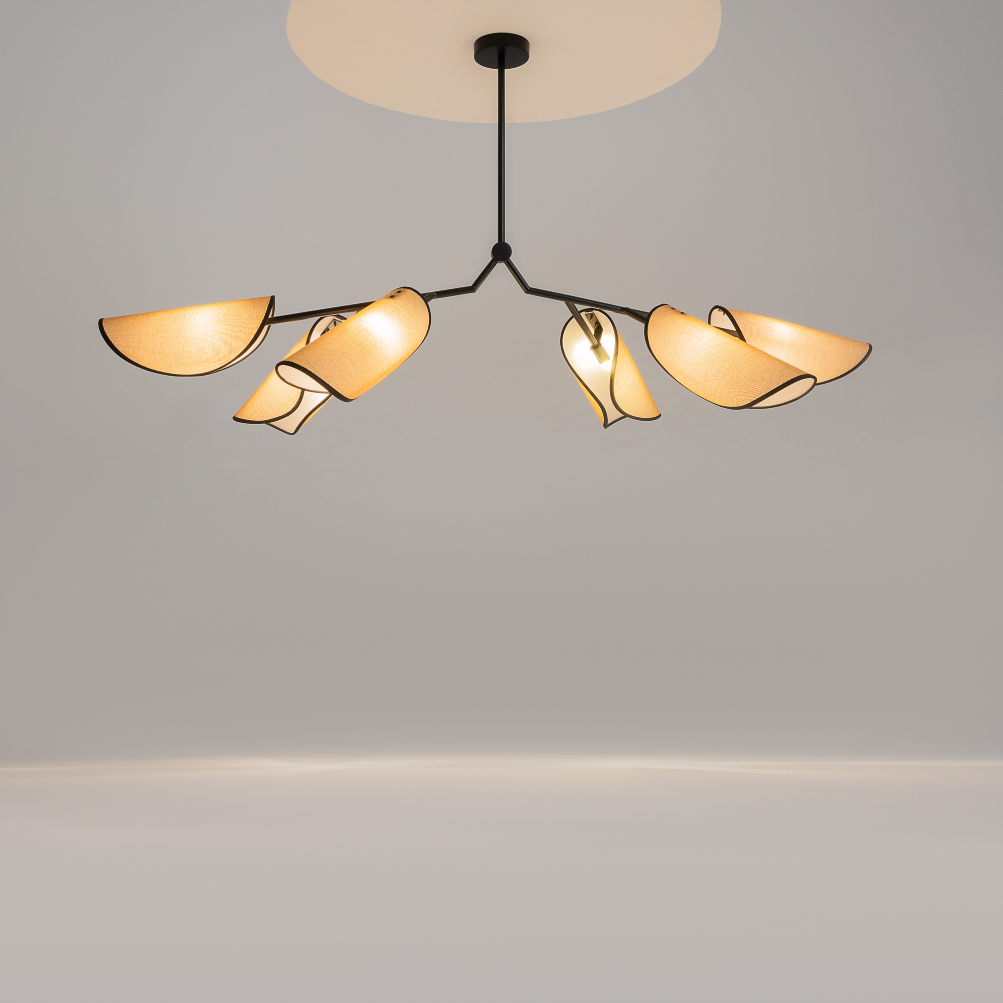 PHOTO_on_live_MOD225PL-06B_standard