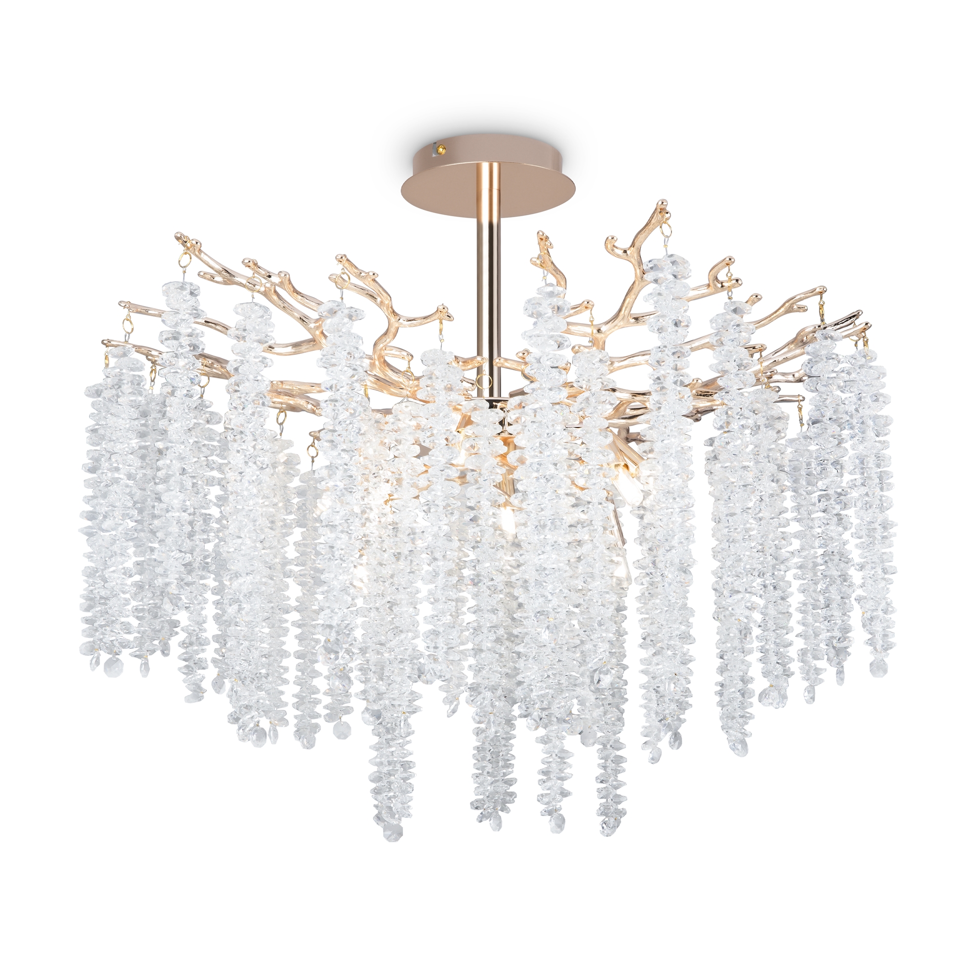 PHOTO_FR1010CL-08G_on_w_standard_(3)