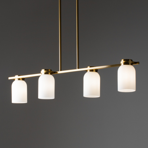 Image_photo №1_FR5446PL-04BS_standard