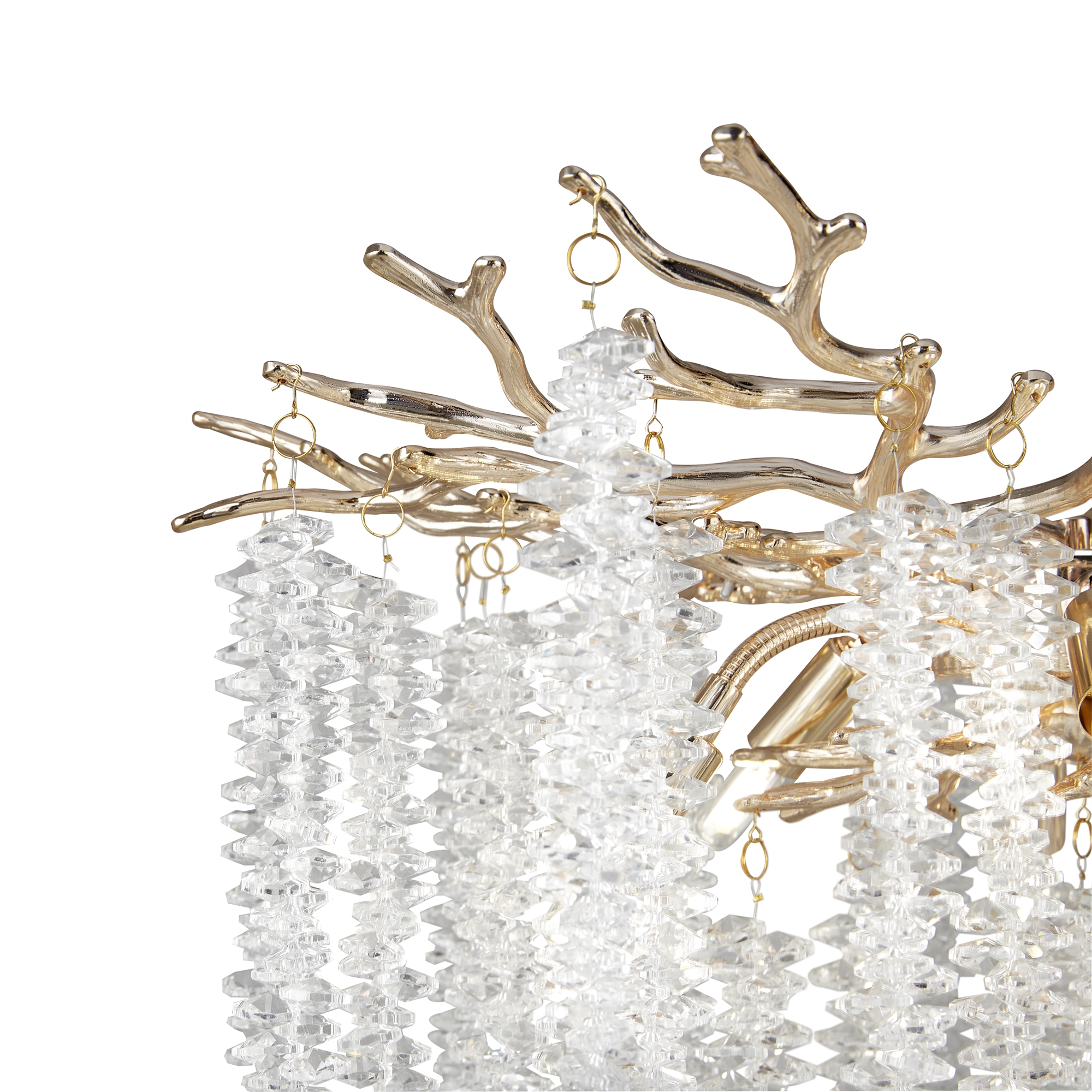 PHOTO_element_FR1010PL-06G_w_standard PHOTO_element_FR1010PL-06G_w_standard