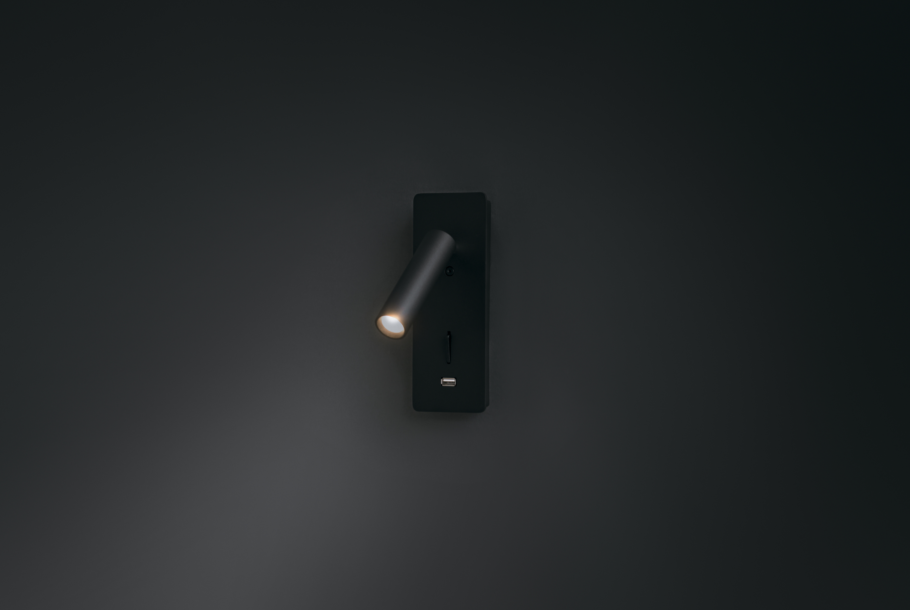 Interio_ for_the_site_C041WL-L3B3K_standard