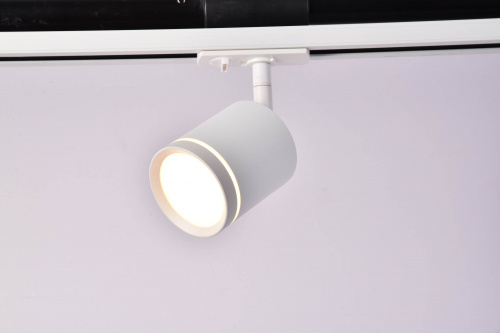 RENDER_TR085-1-5W3K-W_on_w_standard