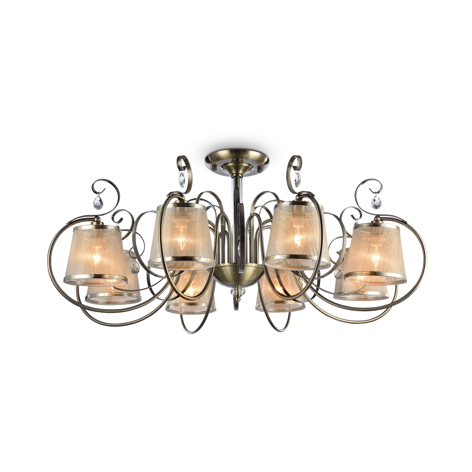 PHOTO_FR2020-CL-08-BZ_on_w_standard