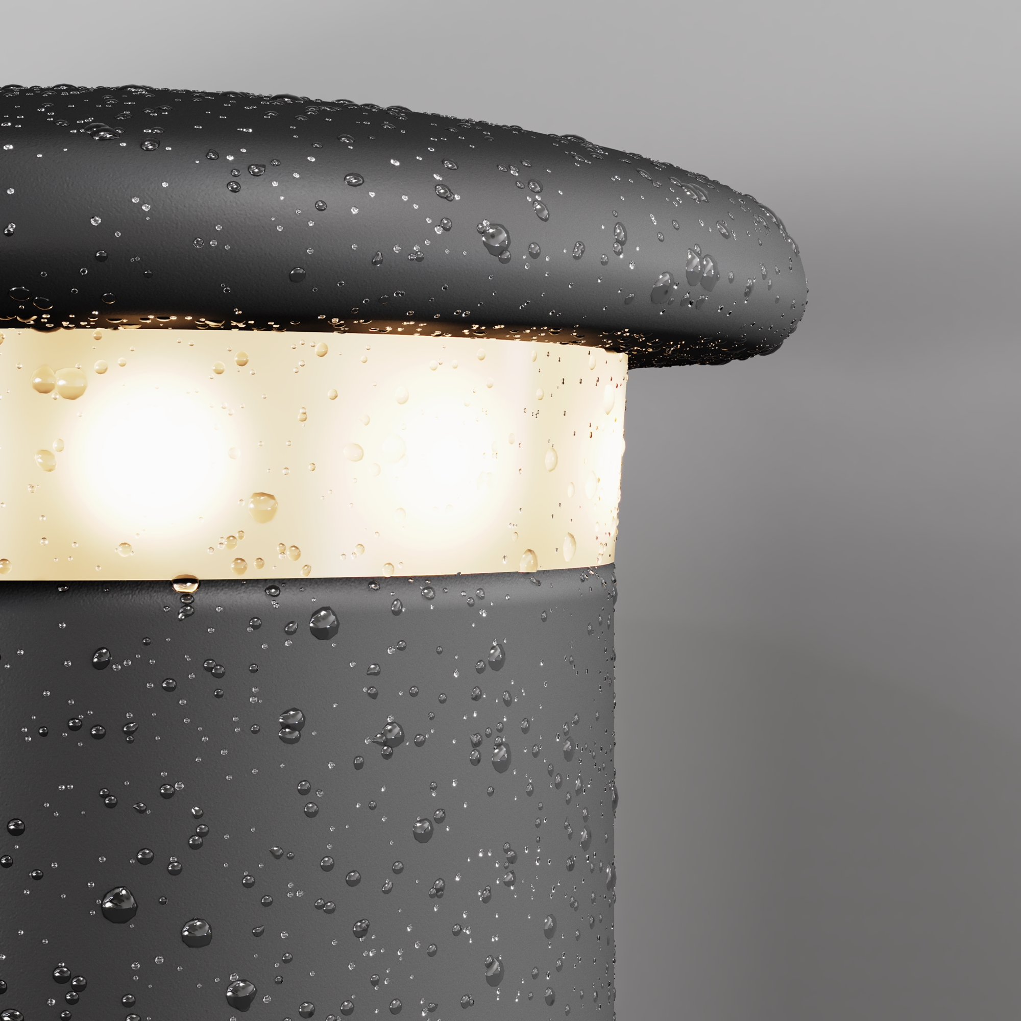 RENDER_Additional_perspective_O460FL-L10GF3K1_standard