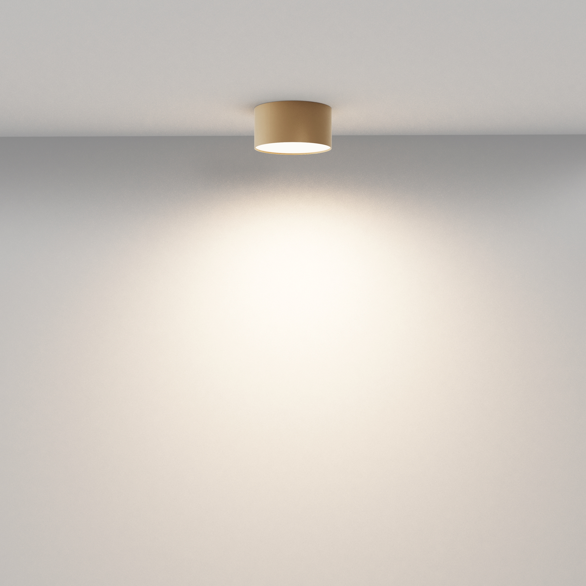RENDER_Additional_perspective_C032CL-12W3K-RD-MG_standard