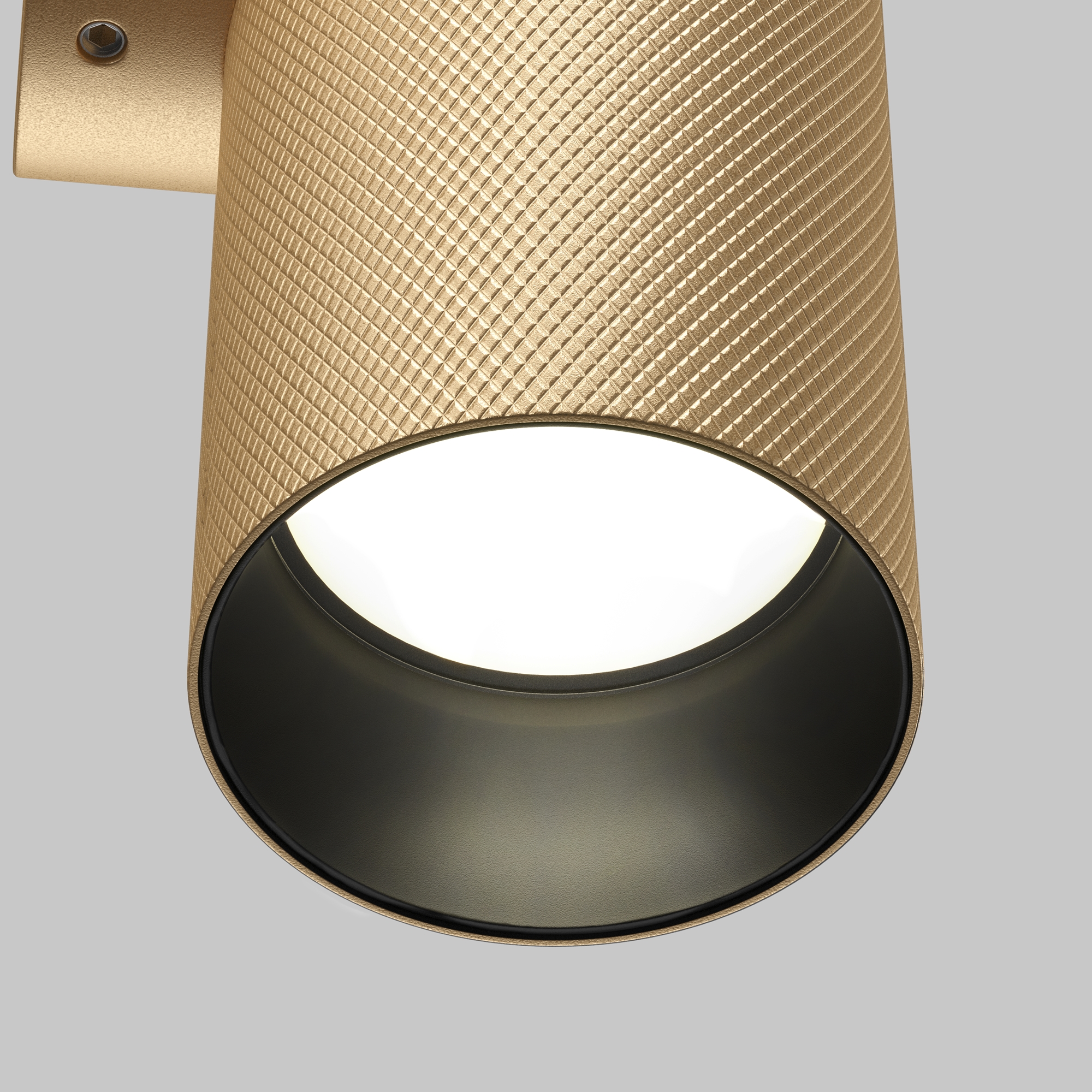 RENDER_element_C080WL-02-GU10-MG_w_standard_(1)
