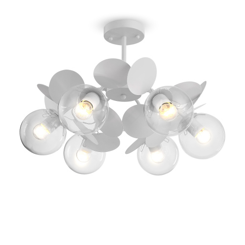 FR5165PL-06W_on_w_(1)