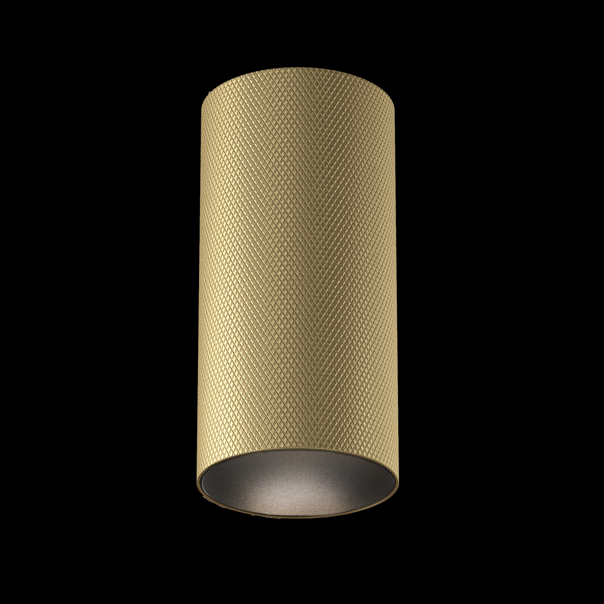 RENDER_Photo_w_alpha_C080CL-01-GU10-MG_standard